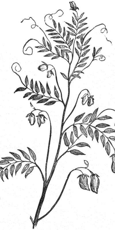 The Religious Function of the Self