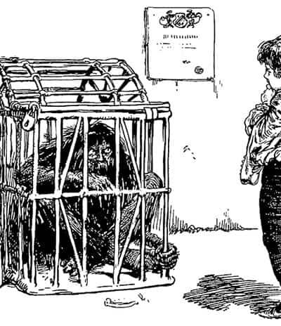 Strong Hans and Iron Hans: Discovery of the Deep Masculine