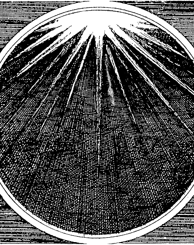 From Chaos to Cosmos: Creation Myths and the Quest for a Centered Self